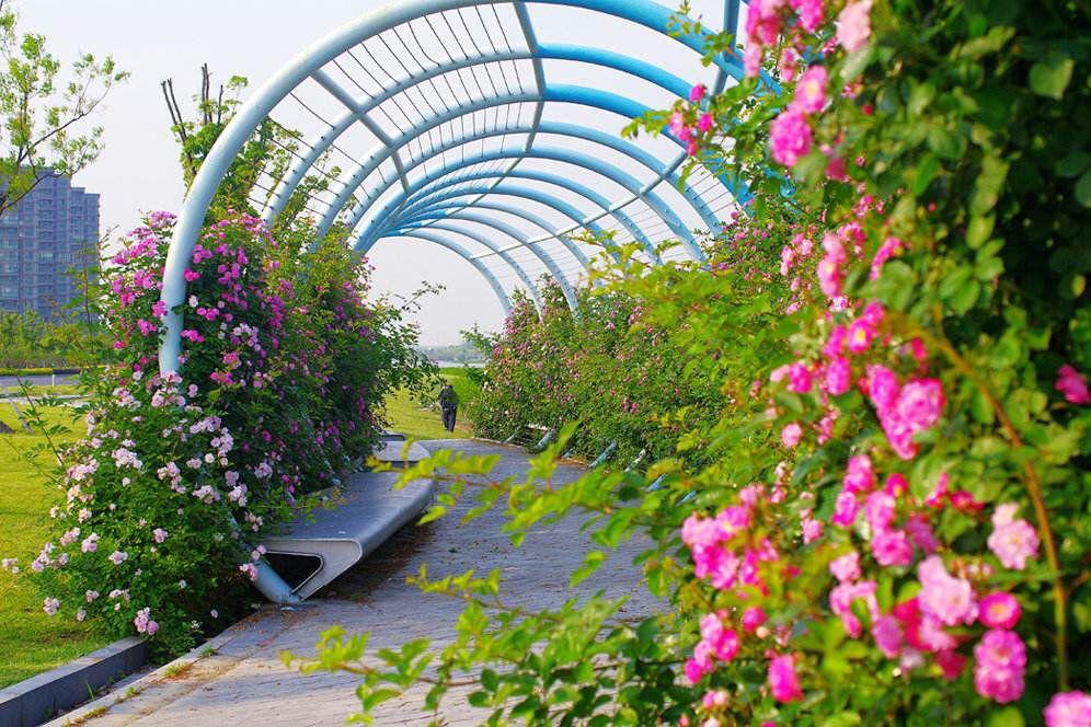 昆山城东片区的发展和趋势,昆山未来可期