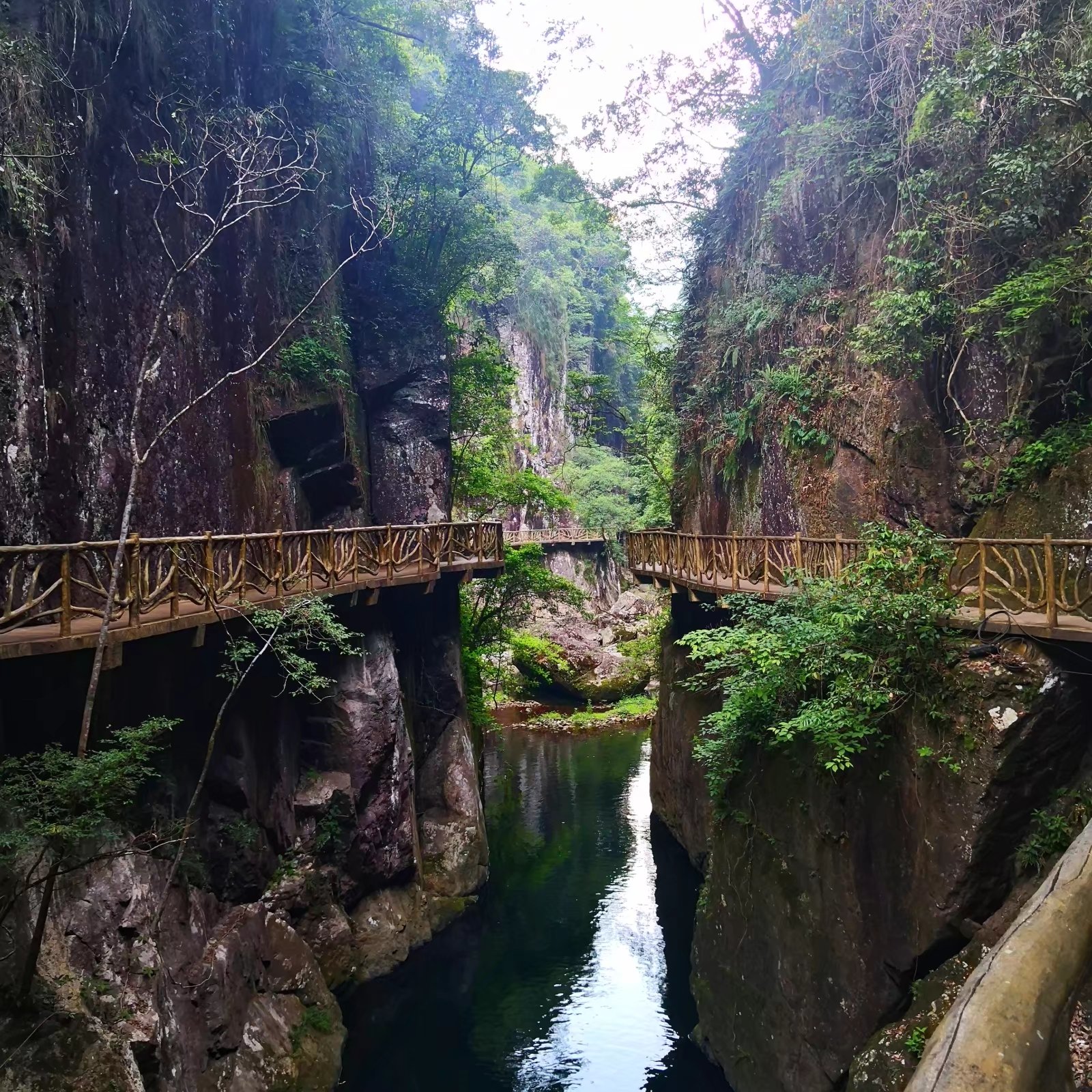福建儿时的记忆山上的野果,福建山上秋天野果