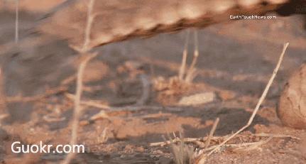 朋友圈里卖低价服装的真相,代购骗局揭秘朋友圈