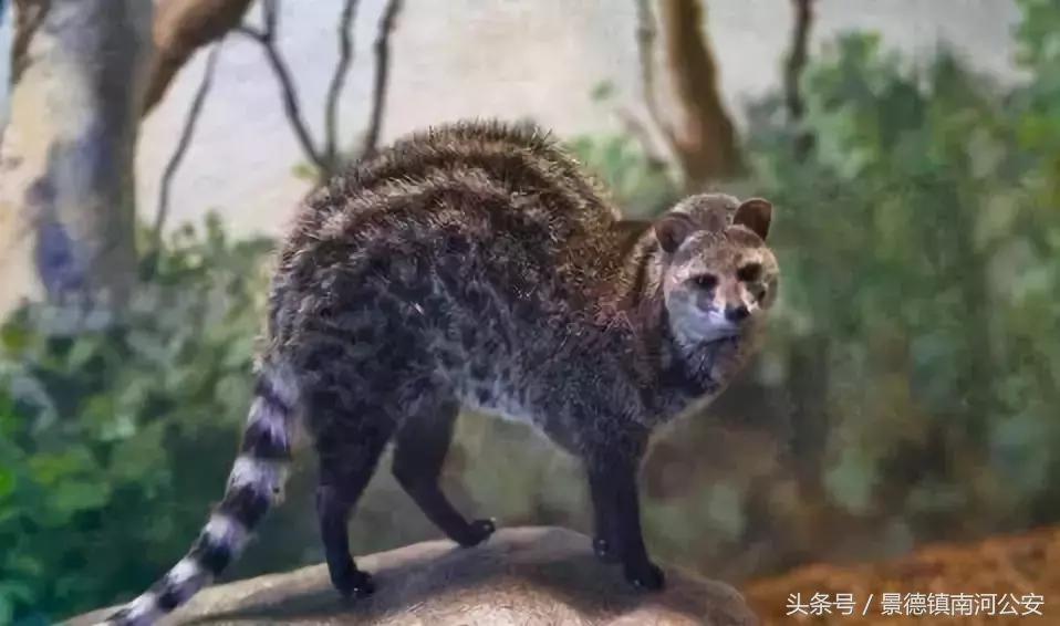 朋友圈里卖低价服装的真相,代购骗局揭秘朋友圈