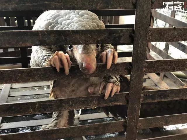 朋友圈代购低价套路,朋友圈里卖低价服装的真相