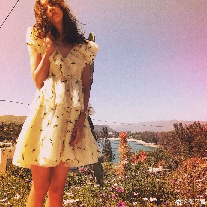 哪些明星把微博评论关了呢 (哪些明星关微博评论了)