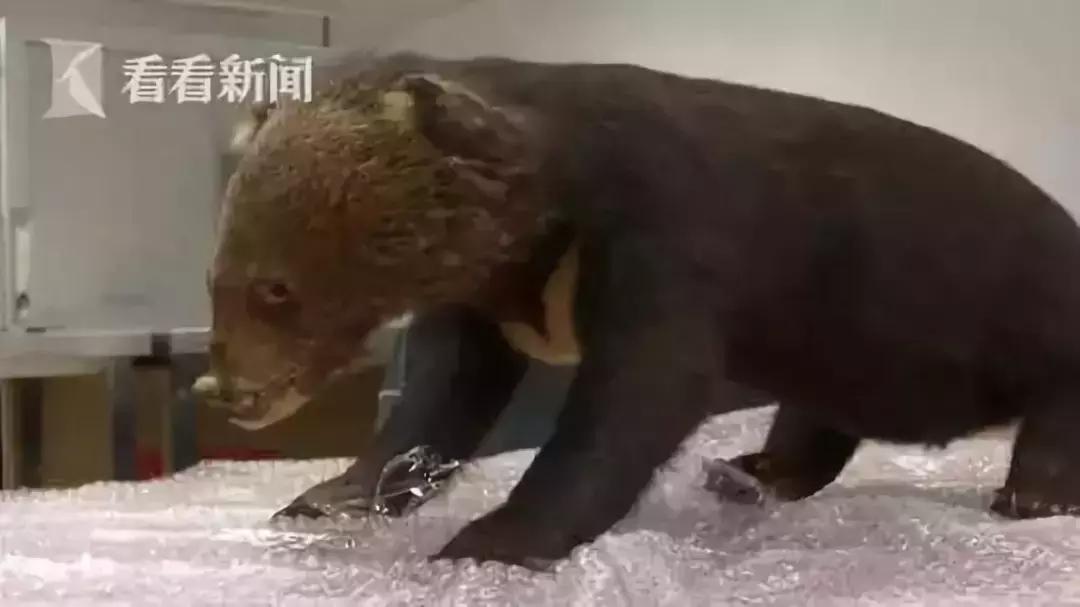 朋友圈里卖低价服装的真相,朋友圈代购惊人内幕