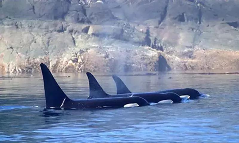 朋友圈里卖低价服装的真相,朋友圈代购惊人内幕