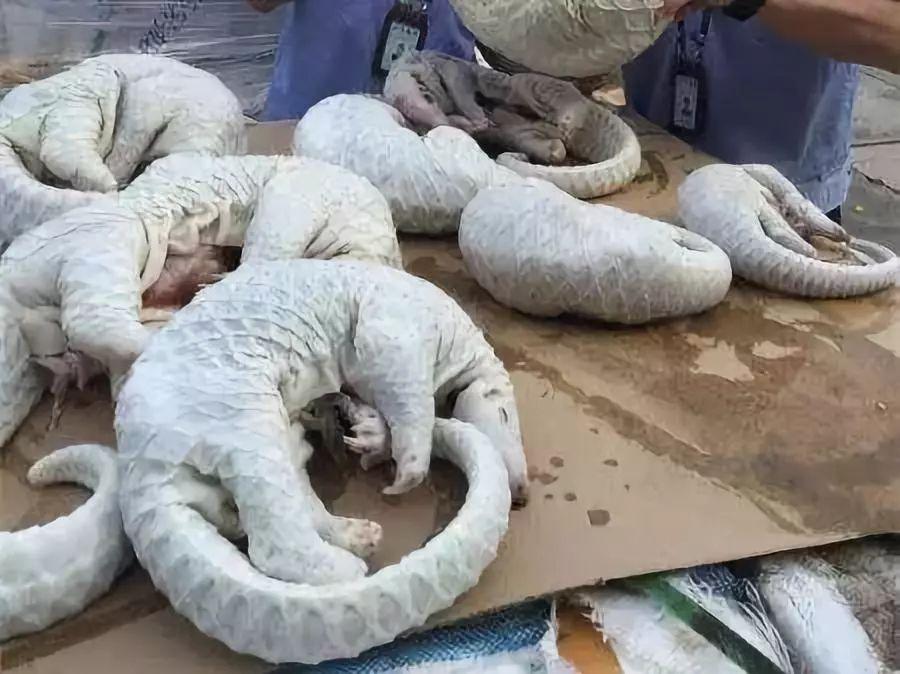 朋友圈里卖低价服装的真相,揭露各种海外代购真相