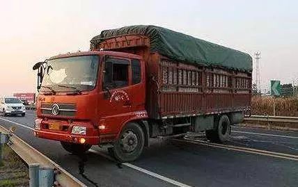 刚认识的女生就让你陪她去外地,刚认识的女生让你去她家怎么回事