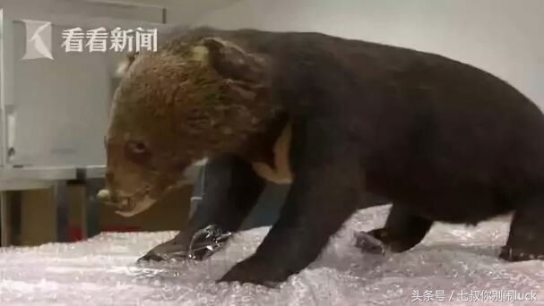 朋友圈低价卖完什么套路,朋友圈里卖低价服装的真相