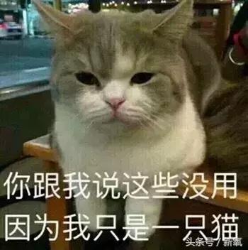 有哪些好用不贵的德国产品,德国化妆品其实比较小众