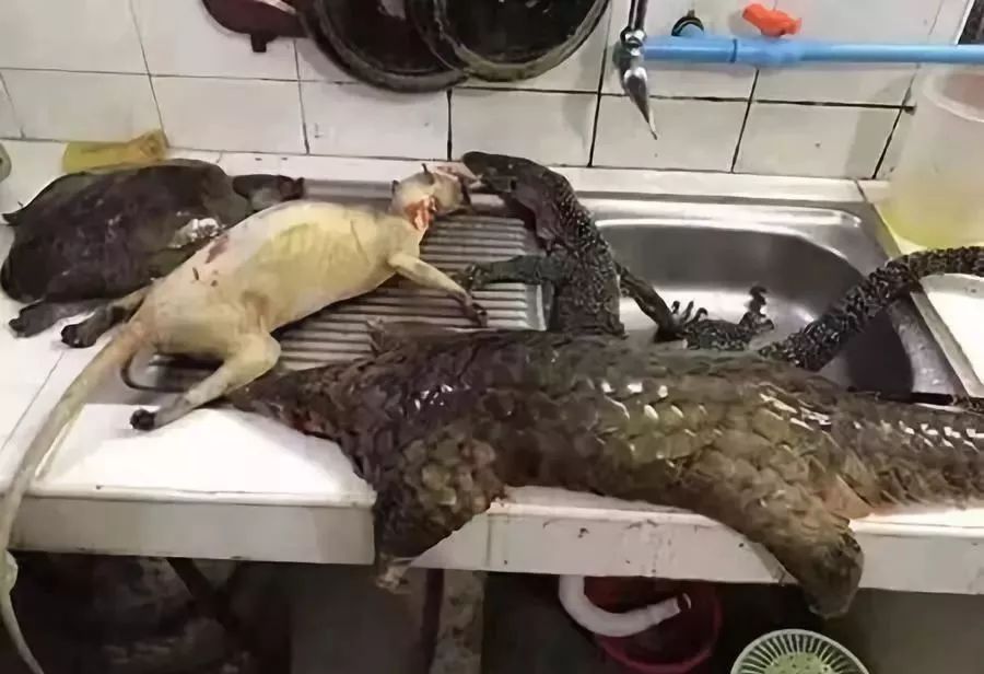 代购骗局揭秘朋友圈,朋友圈里卖低价服装的真相