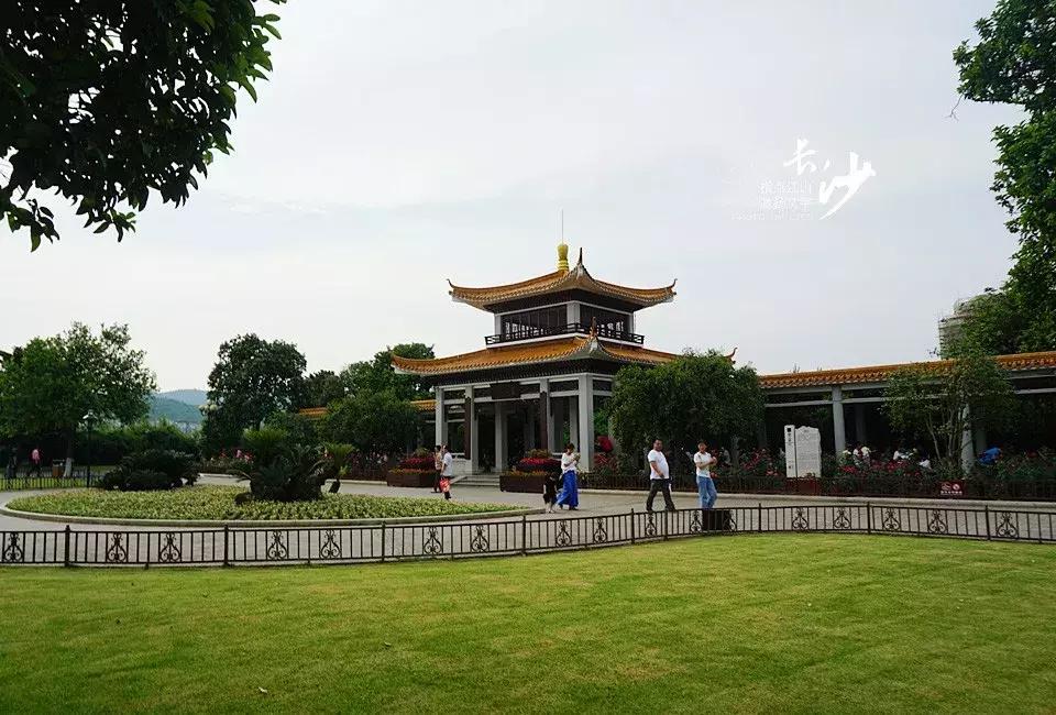 问苍茫大地谁主沉浮诗词,沁园春长沙问苍茫大地谁主沉浮