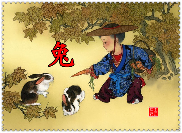 十二生肖运势与财运图表大全集,十二生肖的命运和财运图解