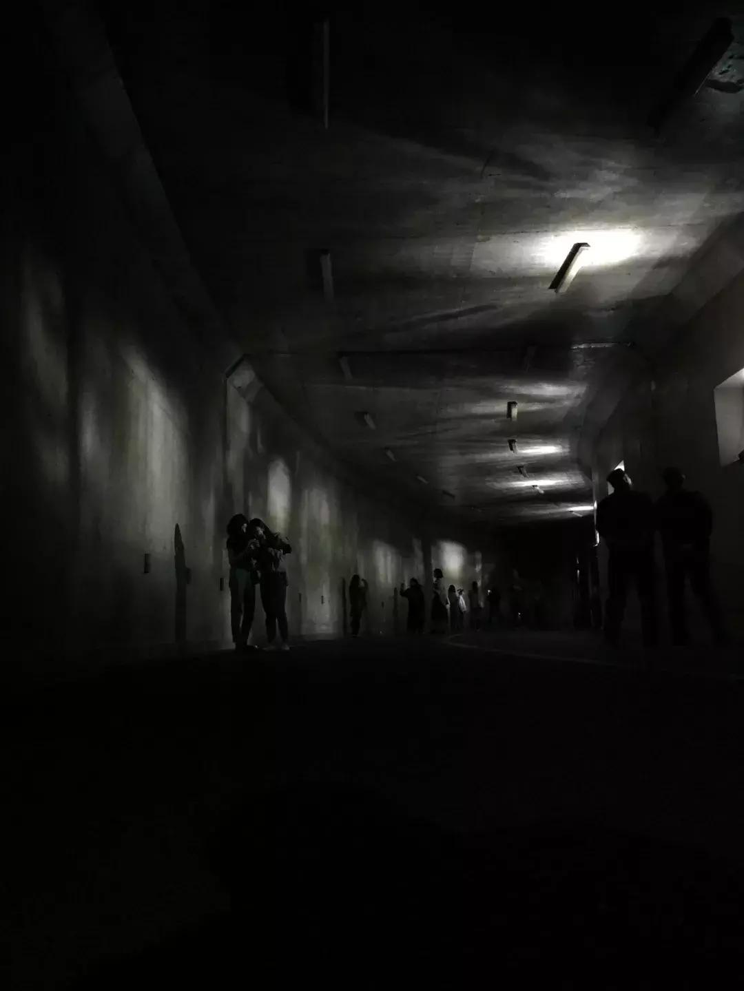 南艺爆料,南艺日常