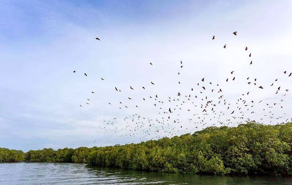 让人沉醉的沙巴,沙巴好地方
