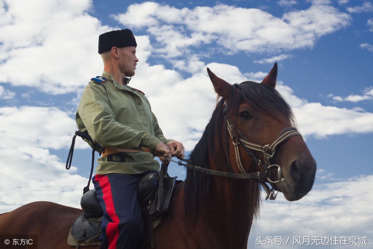 蒙古马和套马图片,蒙古套马绳子教学