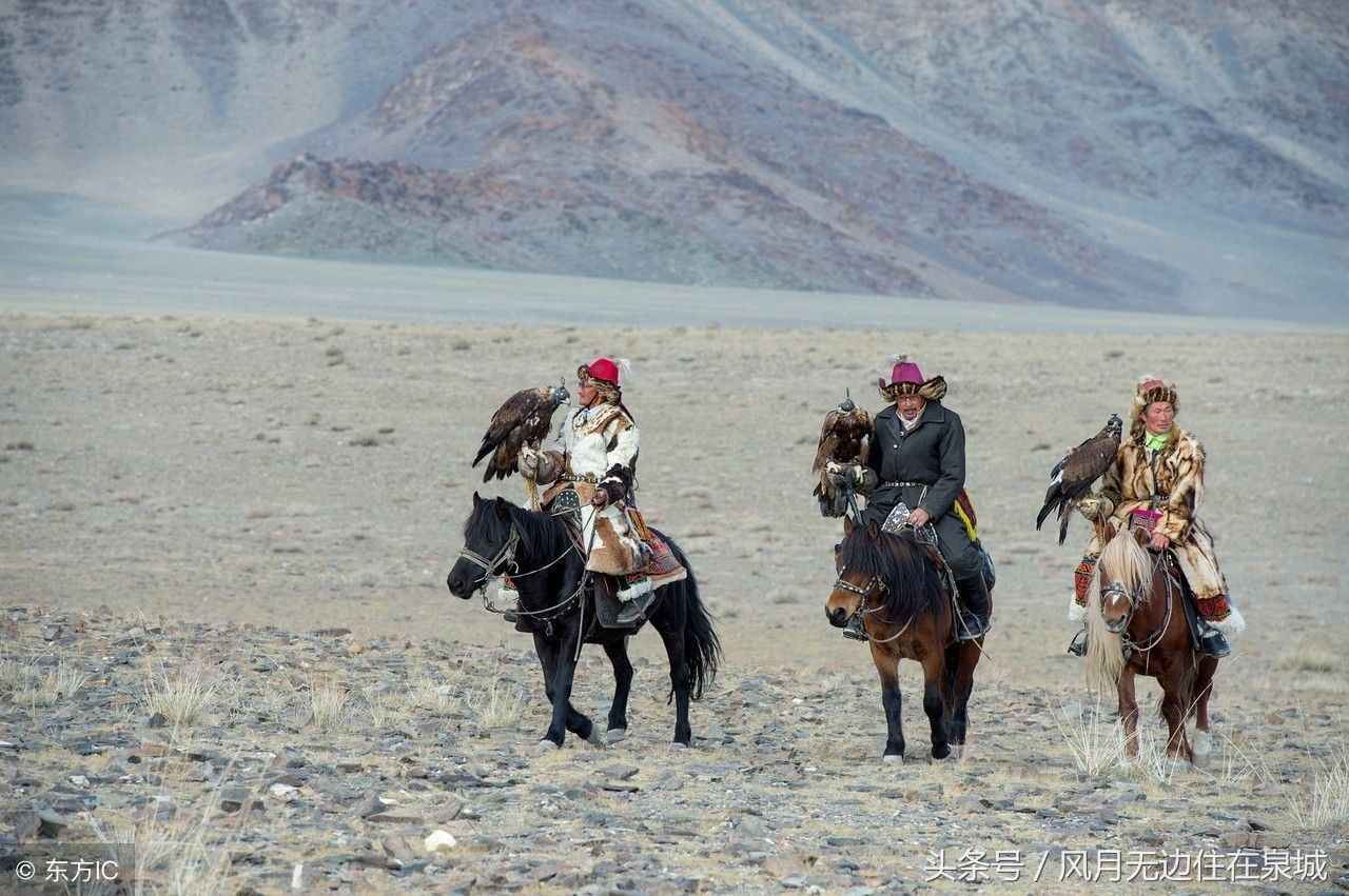 蒙古马和套马图片,蒙古套马绳子教学