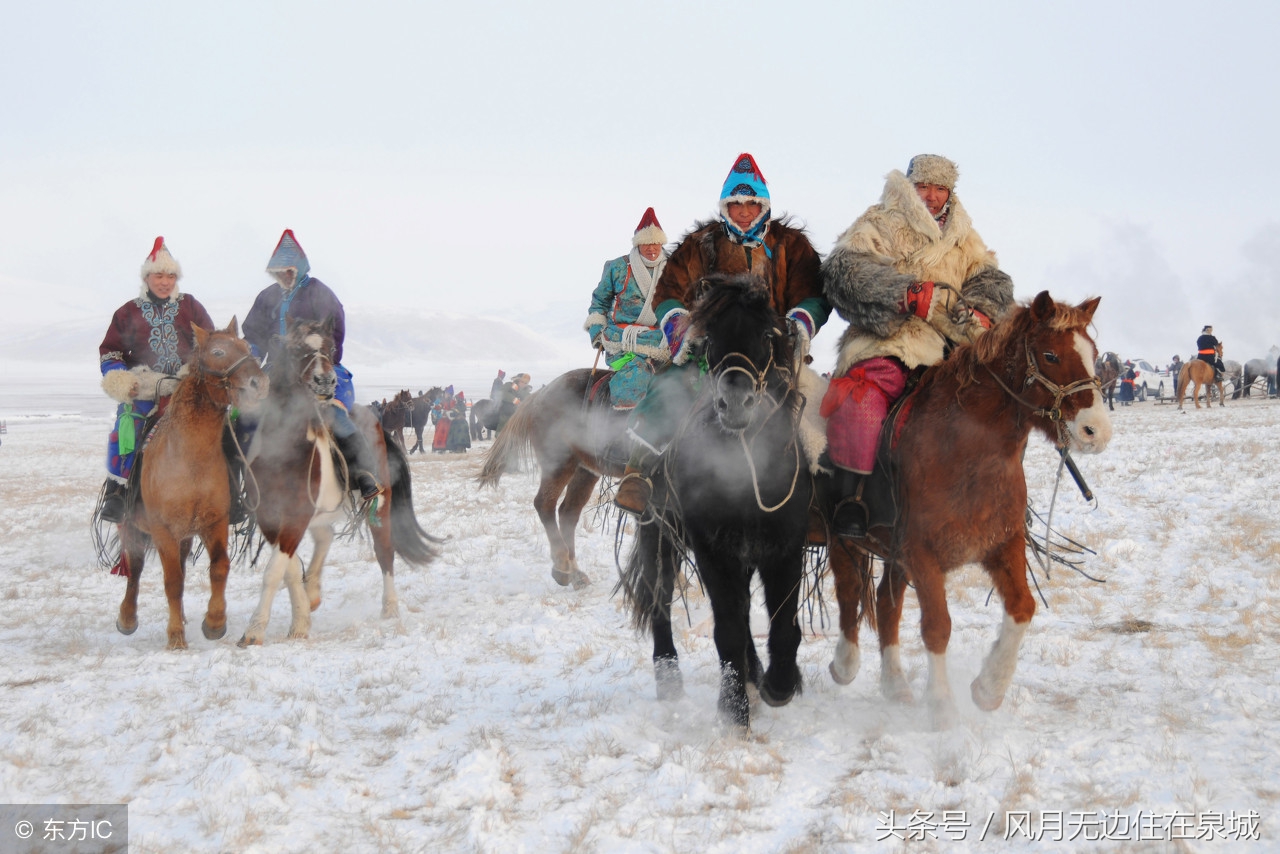 蒙古马和套马图片,蒙古套马绳子教学
