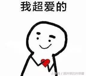 洗面奶到底哪款好用又实惠,哪款洗面奶好用又不贵