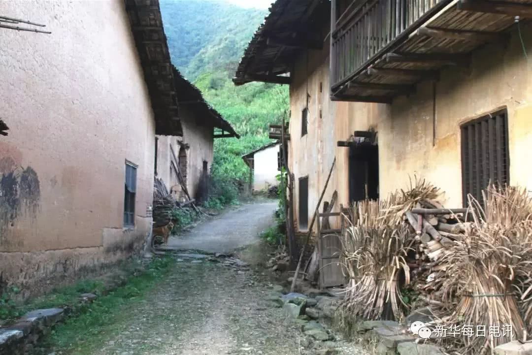 北大才女卖米演讲,北大才女卖米原因