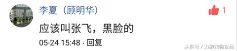 你给宠物起过哪些奇葩的名字？盘点那些让人印象深刻的宠物名字！