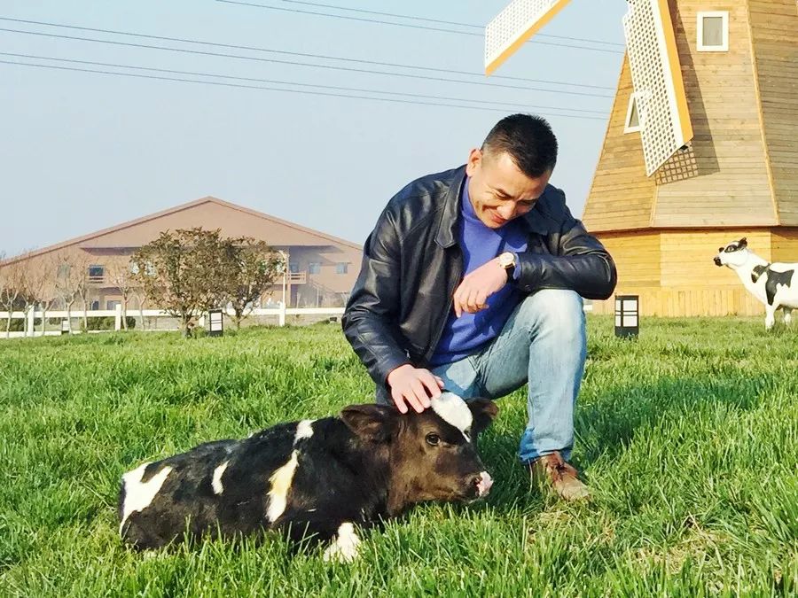 牧场放心奶拼团,牧场牛奶拼团