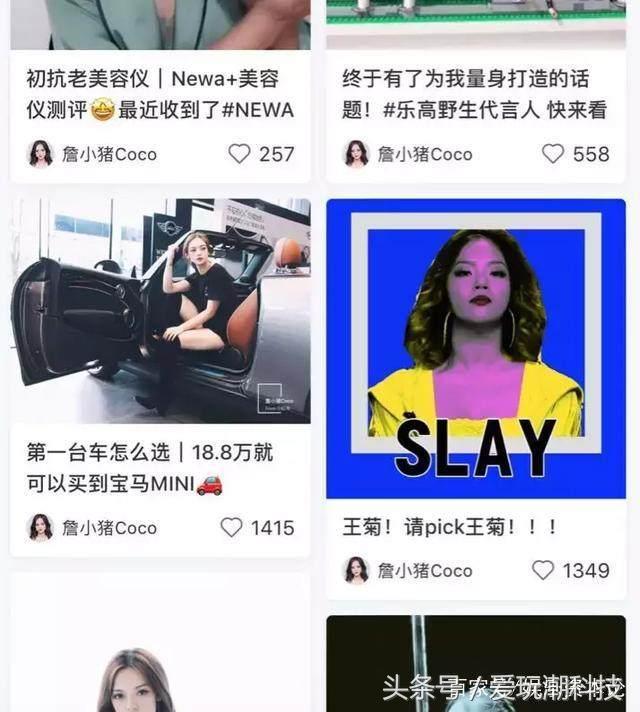 鑼冨啺鍐扮帇鑿婂皬绾功 (鑼冨啺鍐板拰鐜嬭強鍚堜綔)