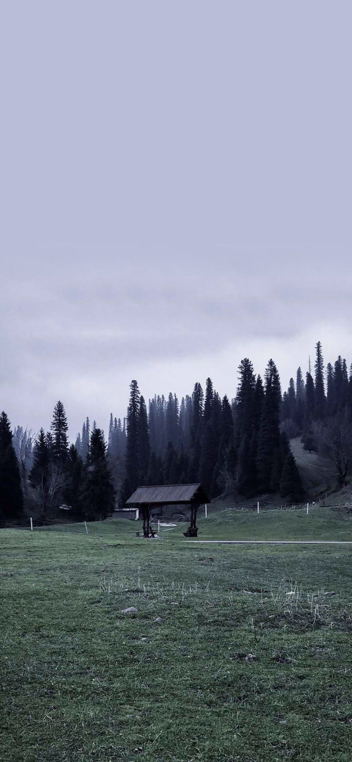 苹果x高清壁纸可爱,苹果x壁纸高清简约