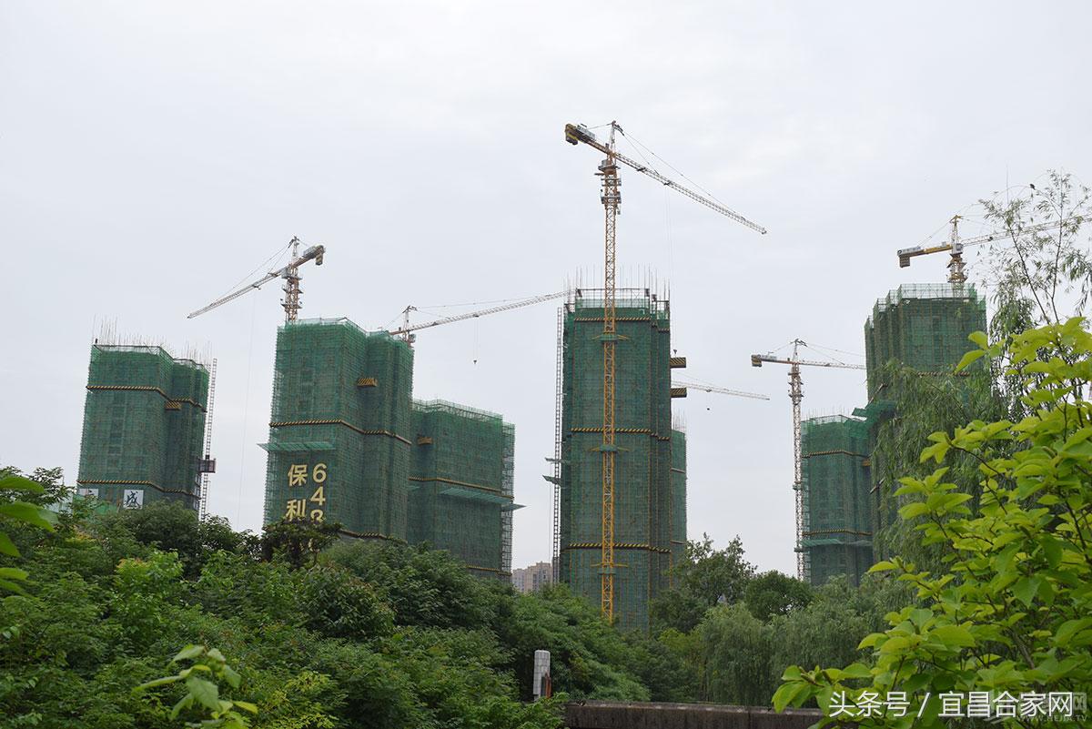 宜昌保利林语溪8号楼,宜昌保利林语溪哪幢楼比较好