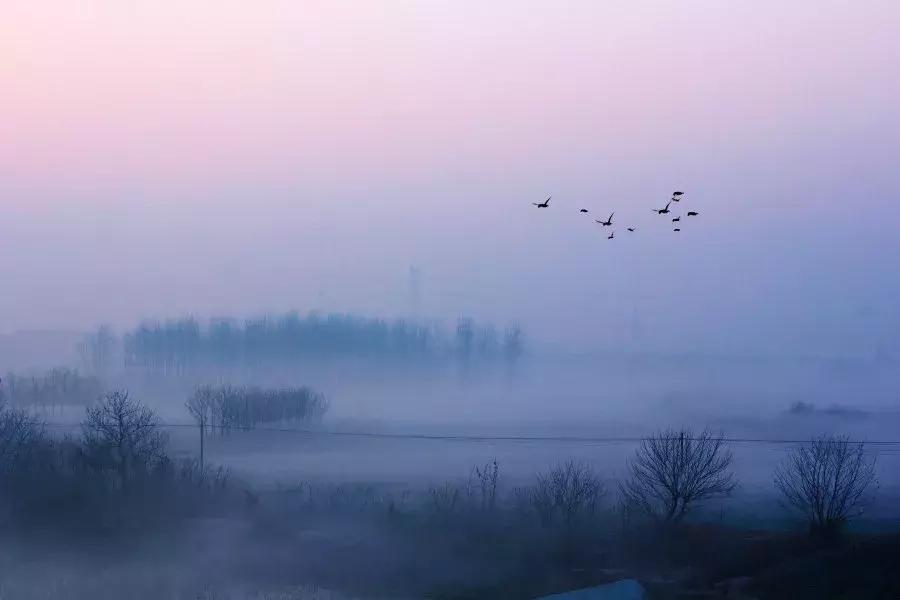 赣榆赶海海葵,自驾游露营野炊赶海