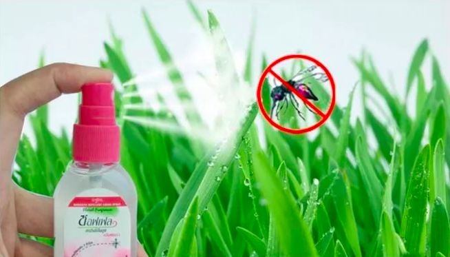 泰国驱蚊提神的好处,泰国青草膏驱蚊止痒