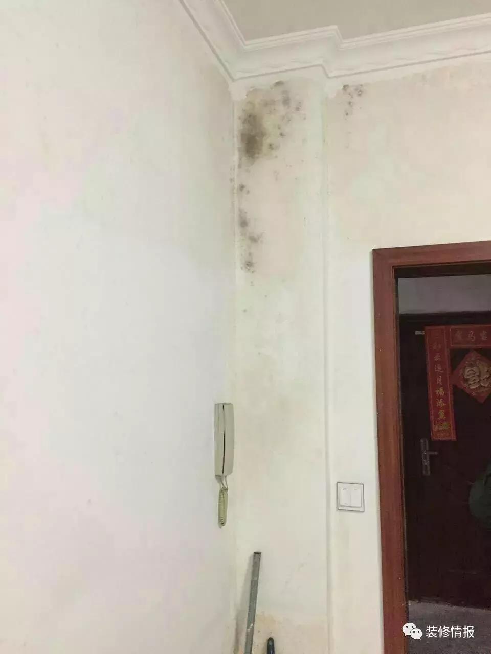 墙壁起皮脱落发霉什么原因,墙壁发霉重新刷漆管用吗