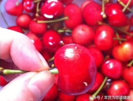 樱桃里面的虫吃进了肚里怎么办,四川樱桃里面的虫