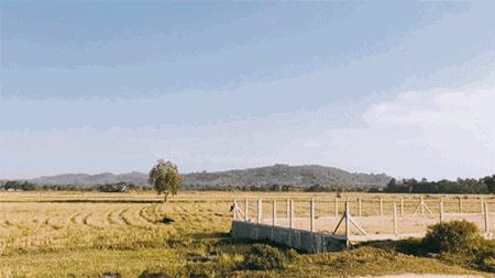 人在囧途通关攻略,人在囧途之历险