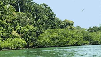 人在囧途之历险,人在囧途之泰囧攻略