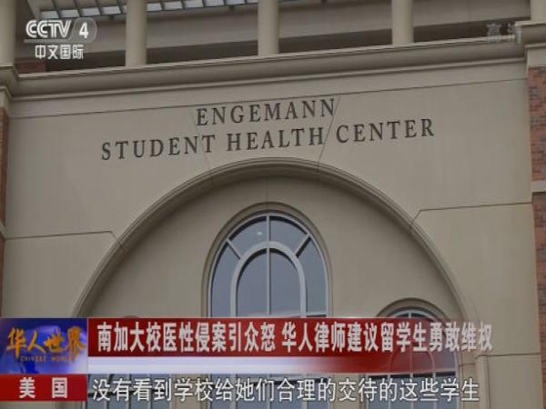 南加大校医性侵案件,南加大教授对家暴看法