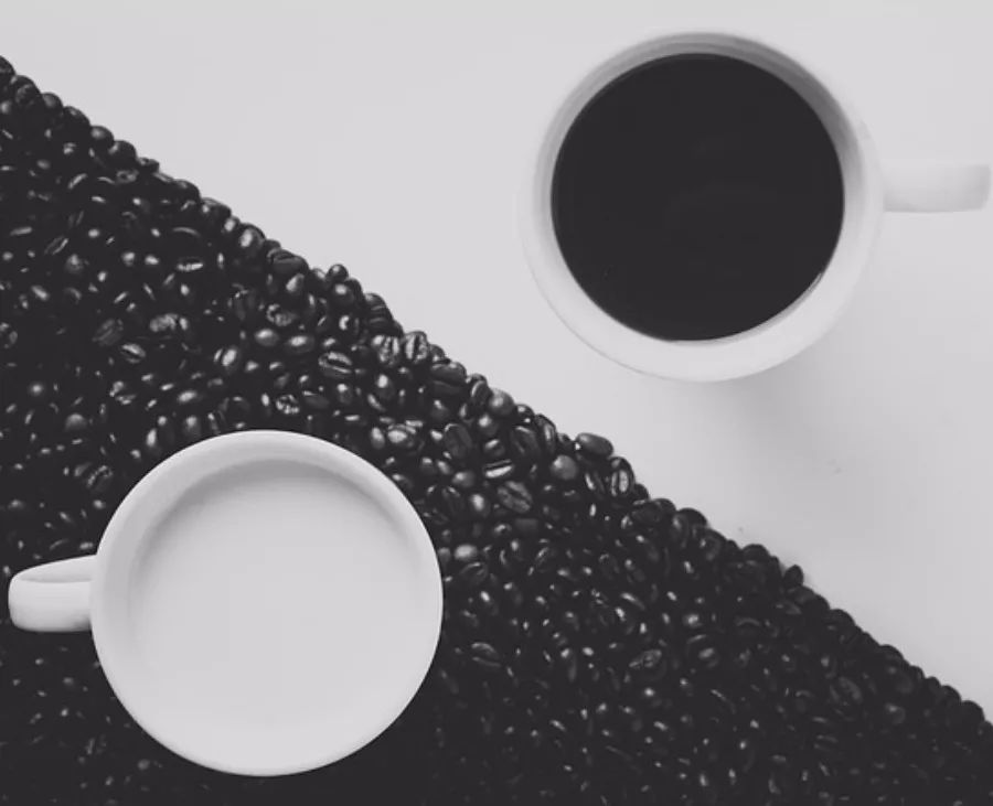 铲屎官新手必看攻略,新手铲屎官必做的10件事