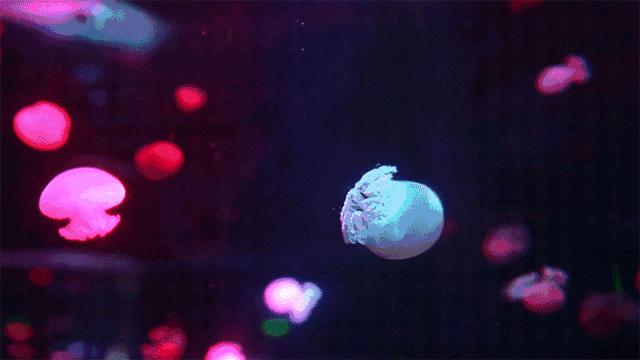 广州户外亲子游玩好去处,广州适合亲子旅游的地方