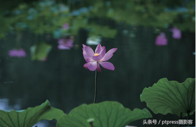 前期拍摄画草图技巧有哪些,线描画人物摄影技巧构图