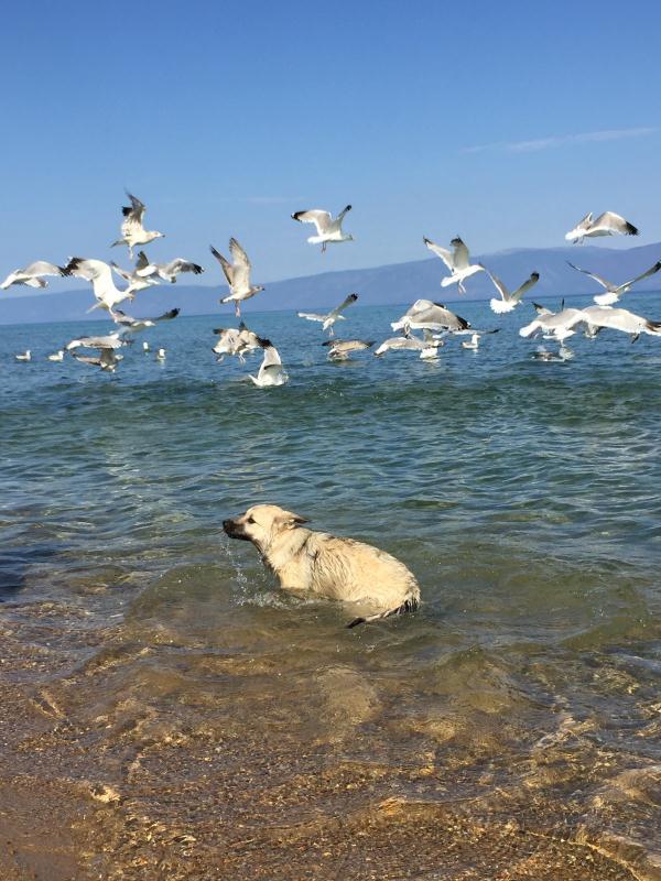 贝加尔湖旅行照片,俄罗斯贝加尔湖游记