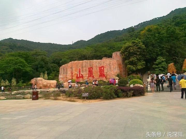深圳凤凰山一个人可以去吗,去深圳凤凰山要预约吗