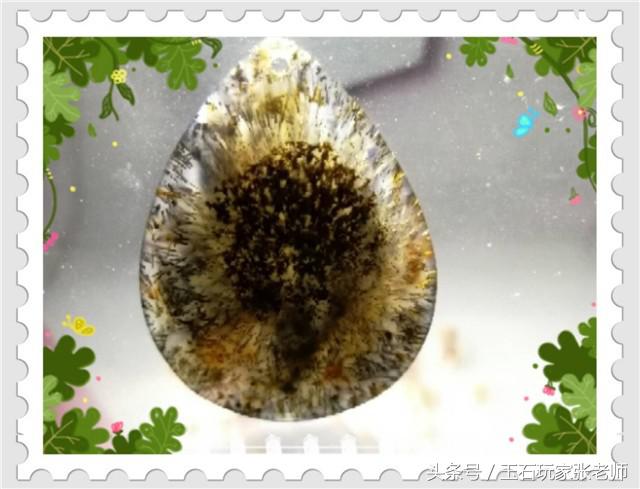 张丽云个人照片,张丽云简介