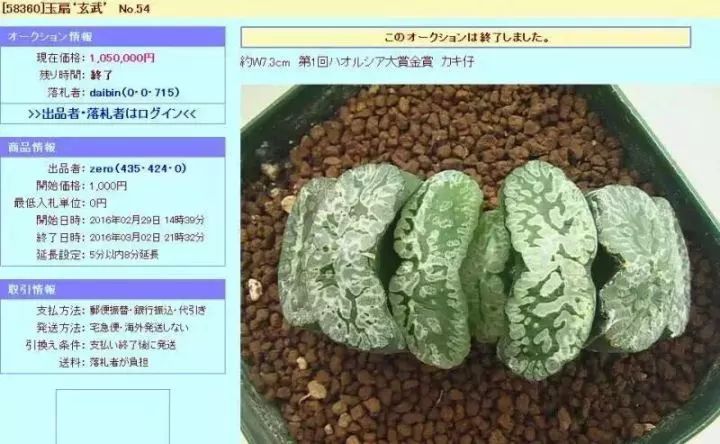 这工资还不够买一颗肉的……