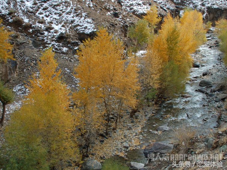 六一儿童节10-15岁男孩礼物推荐,六一儿童节给孩子们买什么礼物好