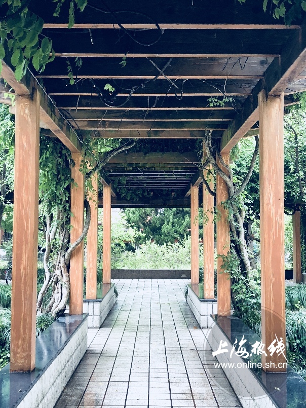 绿树成荫景色宜人清新空气,绿树成荫环境优美空气清新