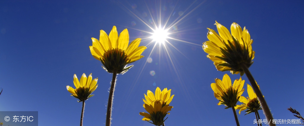 高温中暑了怎么办最快解决方法,热天中暑解救方法