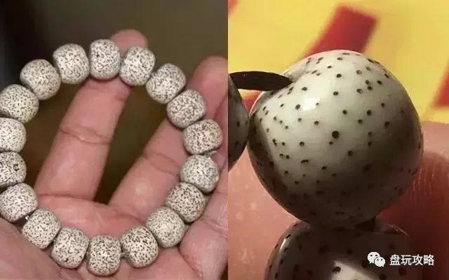 星月菩提干手盘好还是汗手盘好呢,紫金鼠和星月菩提哪个更值得盘玩