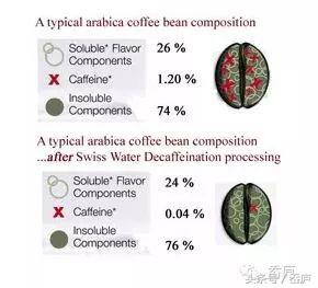 最会卖咖啡的日本人，这次盯上低因咖啡了？！