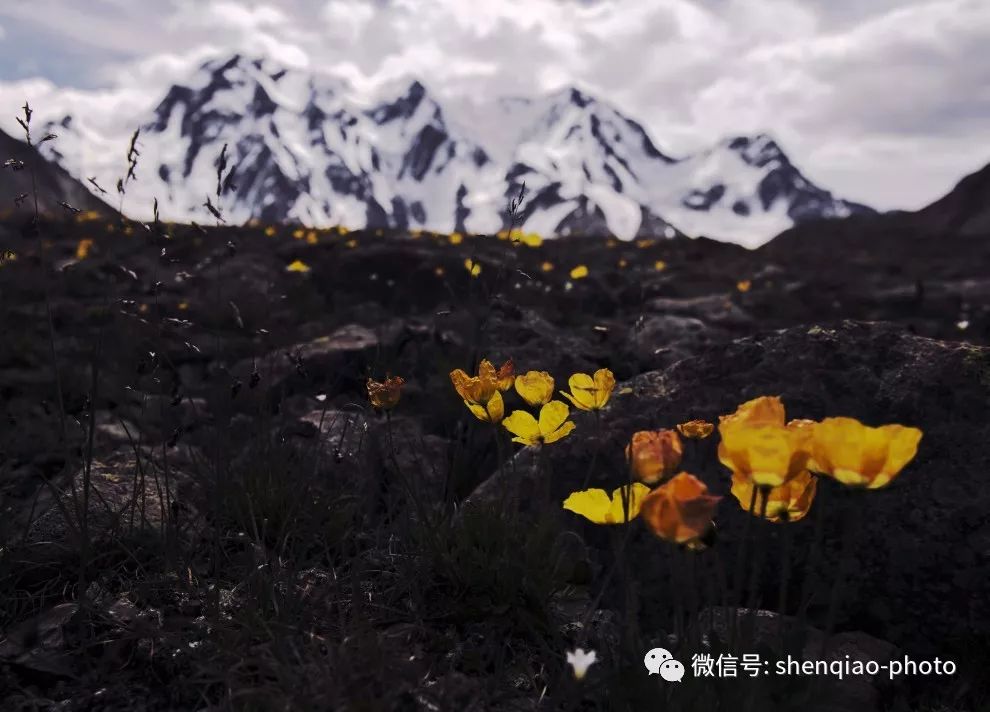 博格达峰的神山是什么,新疆第一神山博格达峰