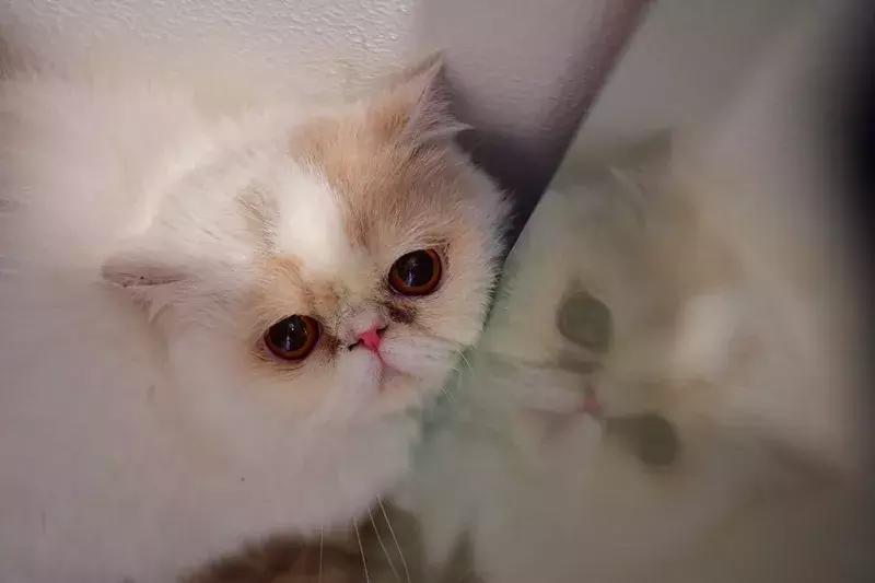 南京不老村，这个画得了插画、种得了花的萌大叔，亲自打造一个家