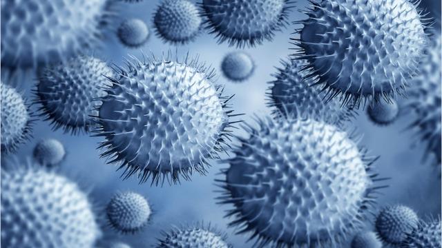 老太卖烂桃给男童，假如孩子吃了烂桃会有什么后果？