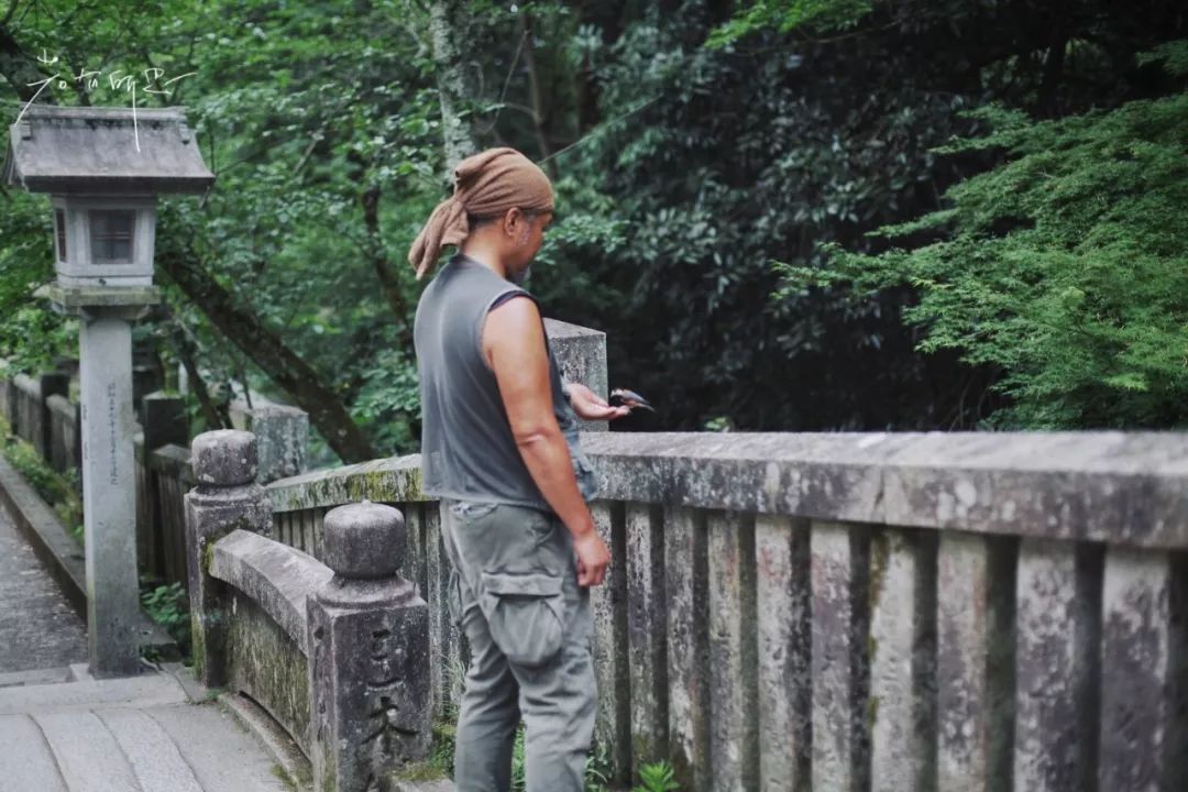 五天四晚适合去哪玩,适合五天四夜清静的旅行